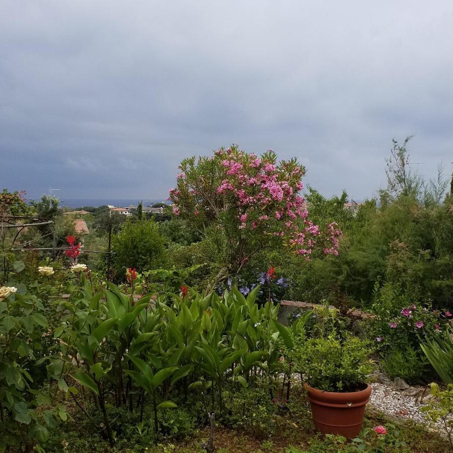 Villa Cassuto Maison De Charme Antignano  Eksteriør billede